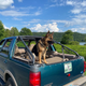 Image for article titled At $4,000, Could This Custom 1997 Ford Expedition Have You Flipping Your Lid?
